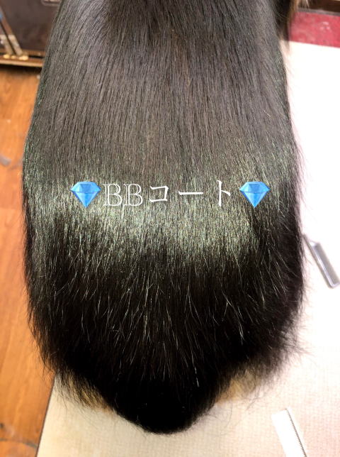 ＢＢコート©仕上がり画像　ラフコリー　トライ