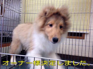 VFeB@Z[u@tJ[@j̎q