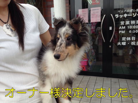 VFeB@u[}[@q@摜