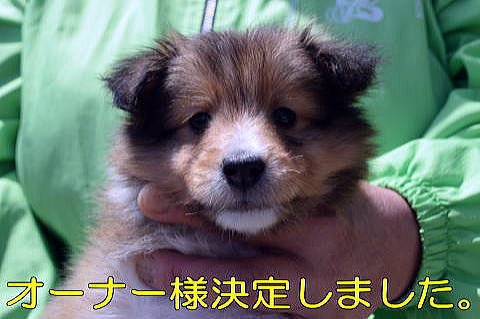 VFeB@q@@u[_[@Z[u@j̎q