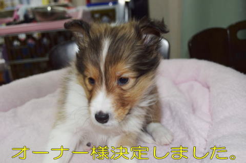 VFeB@Z[u@QPX܂@j̎q@摜