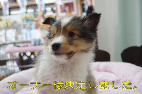 VFeB@Z[u@QPX܂@j̎q@摜