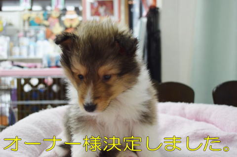 VFeB@Z[u@QPX܂@j̎q@摜