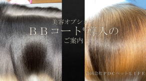ＢＢコート®