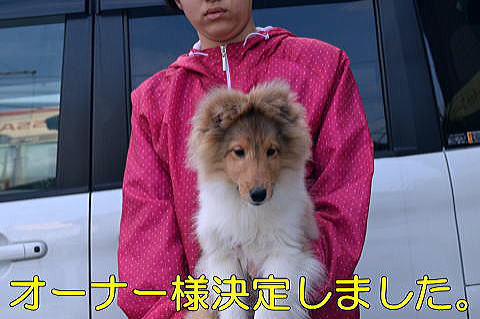 VFeB@q@Z[u@j̎q@摜