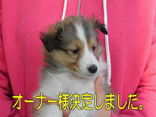 VFeB@Z[uzCg@̎q