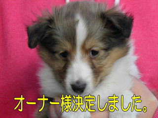 VFeB@Z[uzCg@̎q