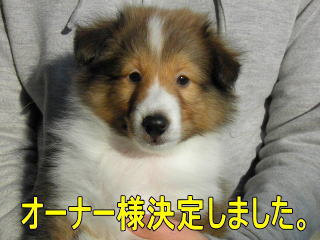 VFeB@Z[uzCg@̎q