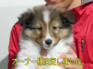 VFeB@Z[uzCg@̎q