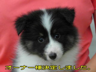 VFeB@Z[uzCg@̎q