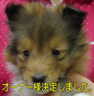 VFeB@Z[uzCg@̎q