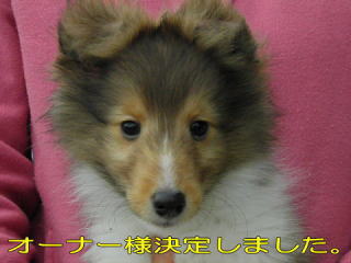 VFeB@Z[uzCg@̎q
