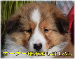 VFeB@Z[uzCg@̎q