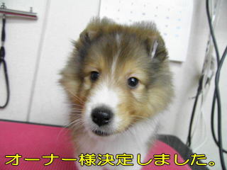VFeB@Z[uzCg@̎q