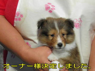 VFeB@Z[uzCg@̎q