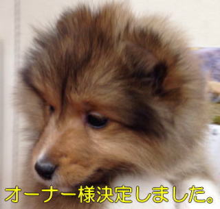 VFeB@Z[uzCg@̎q