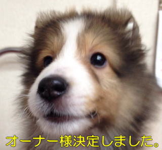 VFeB@Z[uzCg@̎q