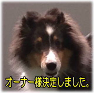 VFeB@Z[uzCg@̎q