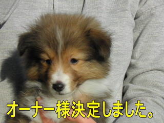 VFeB@Z[uzCg@̎q