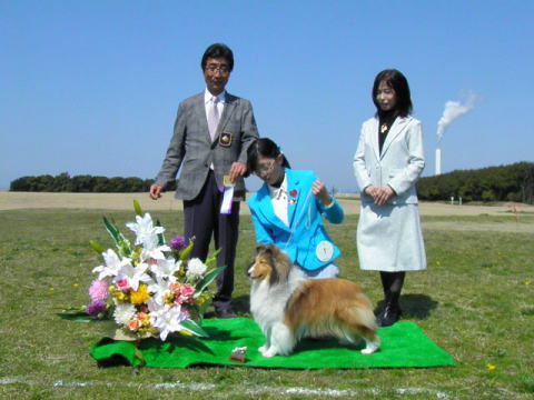 VFeB(VFbghV[vhbO)@Z[u&zCg@q@ʐ^