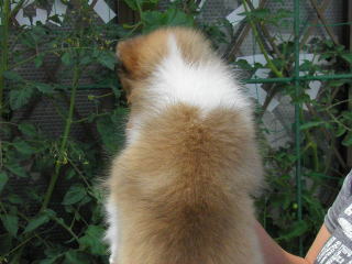 VFeB@Z[u@IX@摜@ʐ^@@L