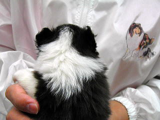 VFeB@q@u[_[@