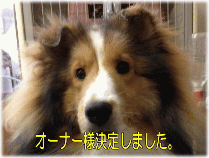 VFeB@Z[u