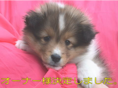 VFeB@Z[u@q@ChJ[
