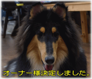 tR[@R[@gC@q@V[^Cv