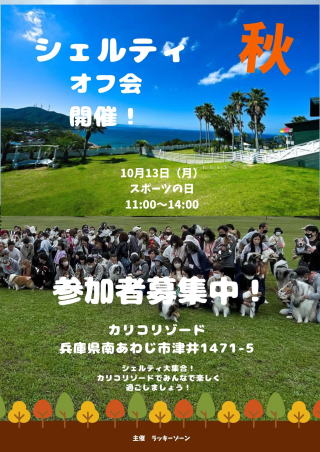 シェルティ　オフ会　参加者募集
