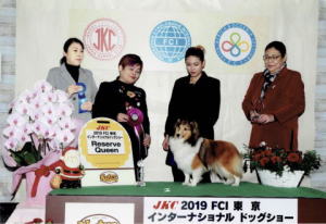シェルティ　チェリー　ＦＣＩ　東京インター　リザーブクイーン